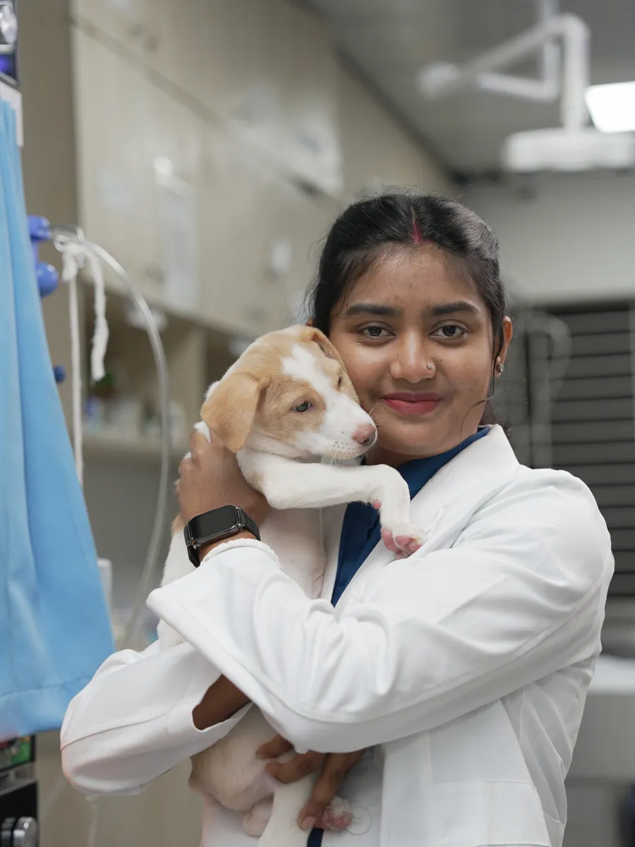 A veterinarian cradling a puppy in the treatment room
