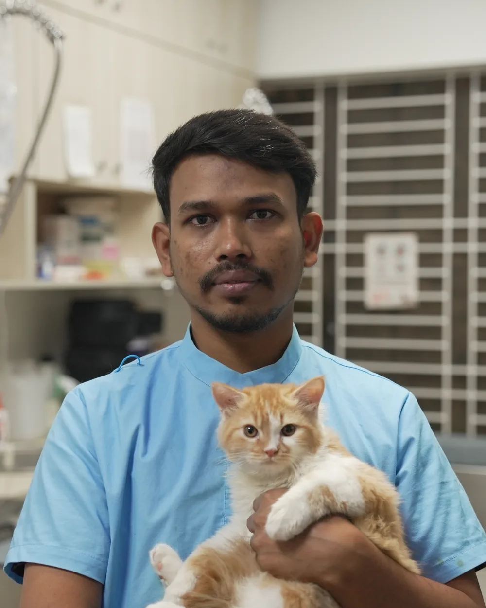 A Precise Pet Lab veterinarian holding an orange kitten in the treatment room